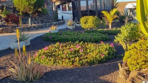 Foto 4 de Casa o chalet en venta en El Rosal, Parque Holandés, La Oliva