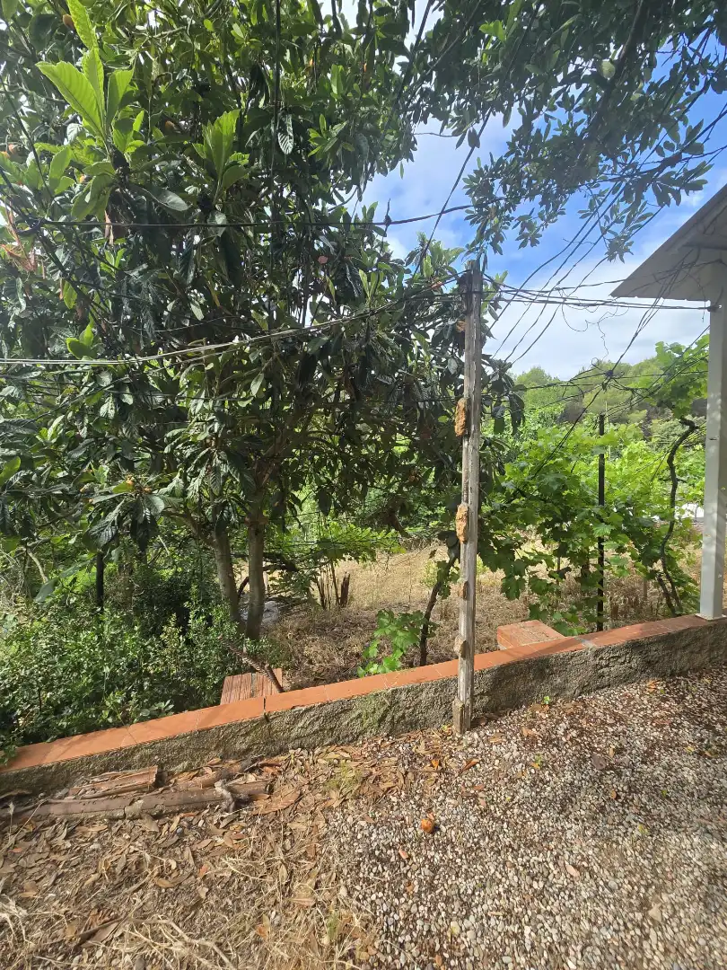 Land for sale in Vacarisses