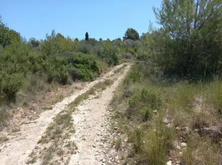 Terreny rústic en venda a Paraje El Cuartito, imagen 6