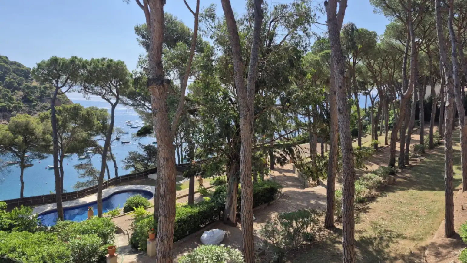 Jardí de Casa o xalet en venda en Palafrugell