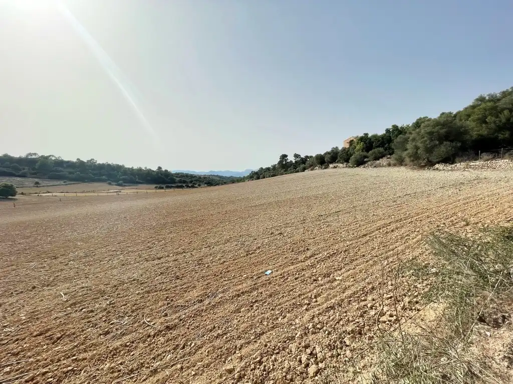 Rural land for sale in Sineu, imagen 14