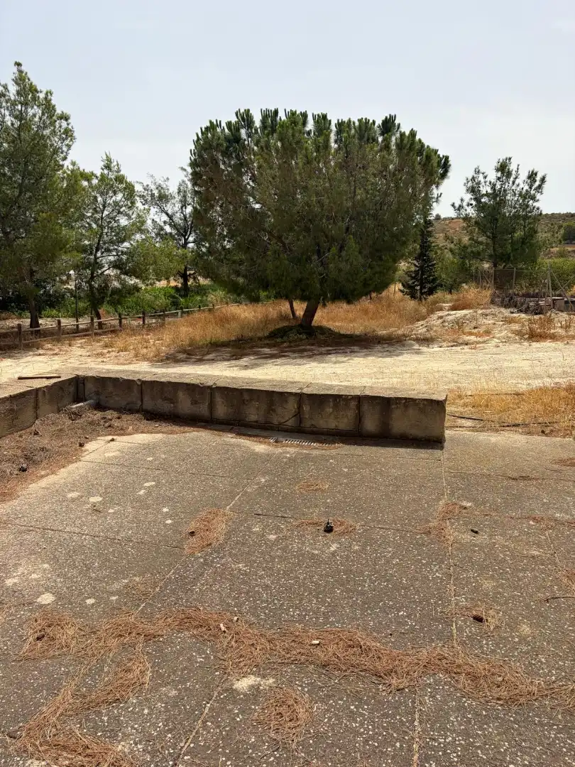 Lands and plots for sale in Mula, imagen 21