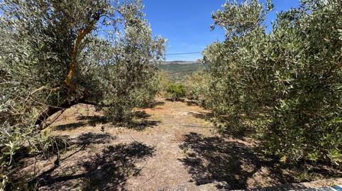 Foto 2 de Finca rústica en venda a Diseminados, Benigànim, Valencia