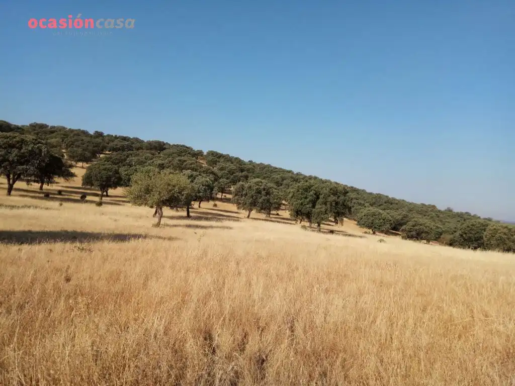 Country homes for sale in Torrecampo