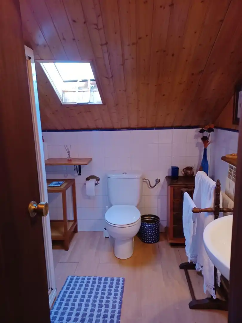 Villa in vendita a Cangas del Narcea, imagen 64