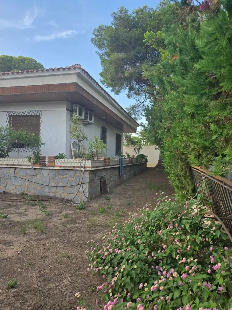 Garden of Houses for sale in Orihuela