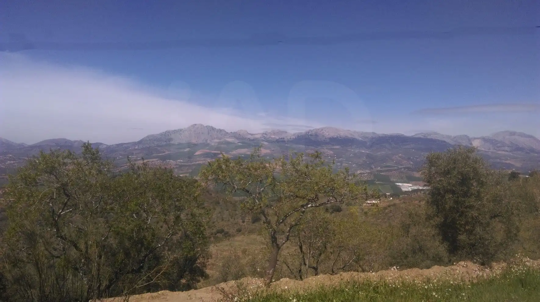 Terrenos y solares en venta en Casabermeja, imagen 4
