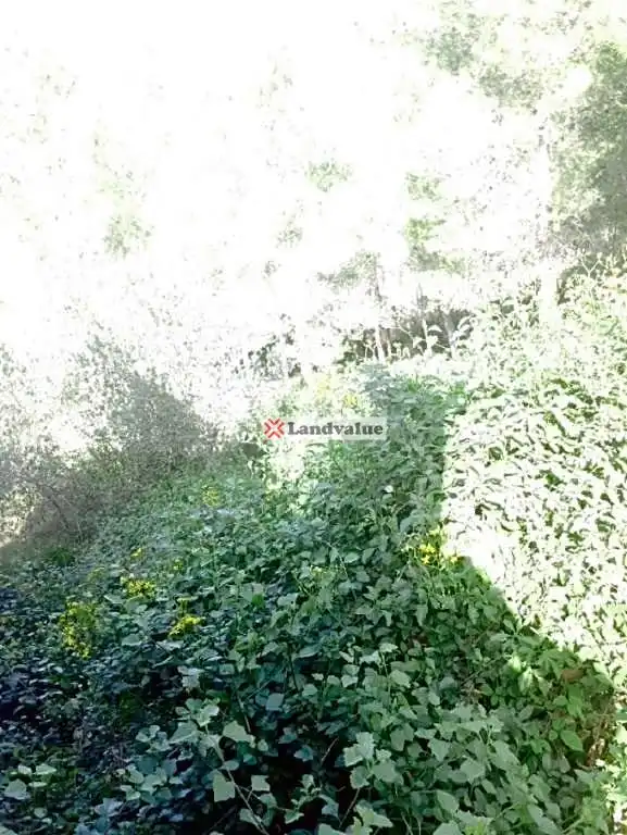 Lands and plots for sale in Urbanización Can Gordei, imagen 2