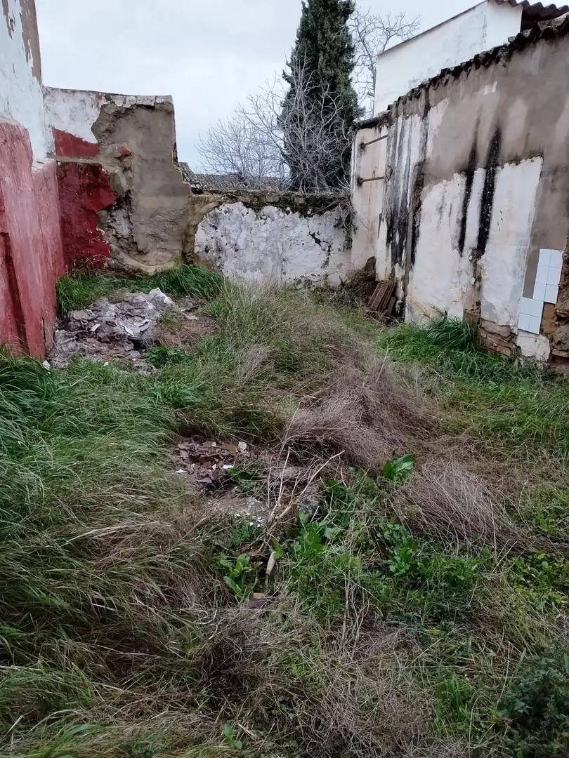 Casa o xalet en venda en Ronda amb Jardí privat