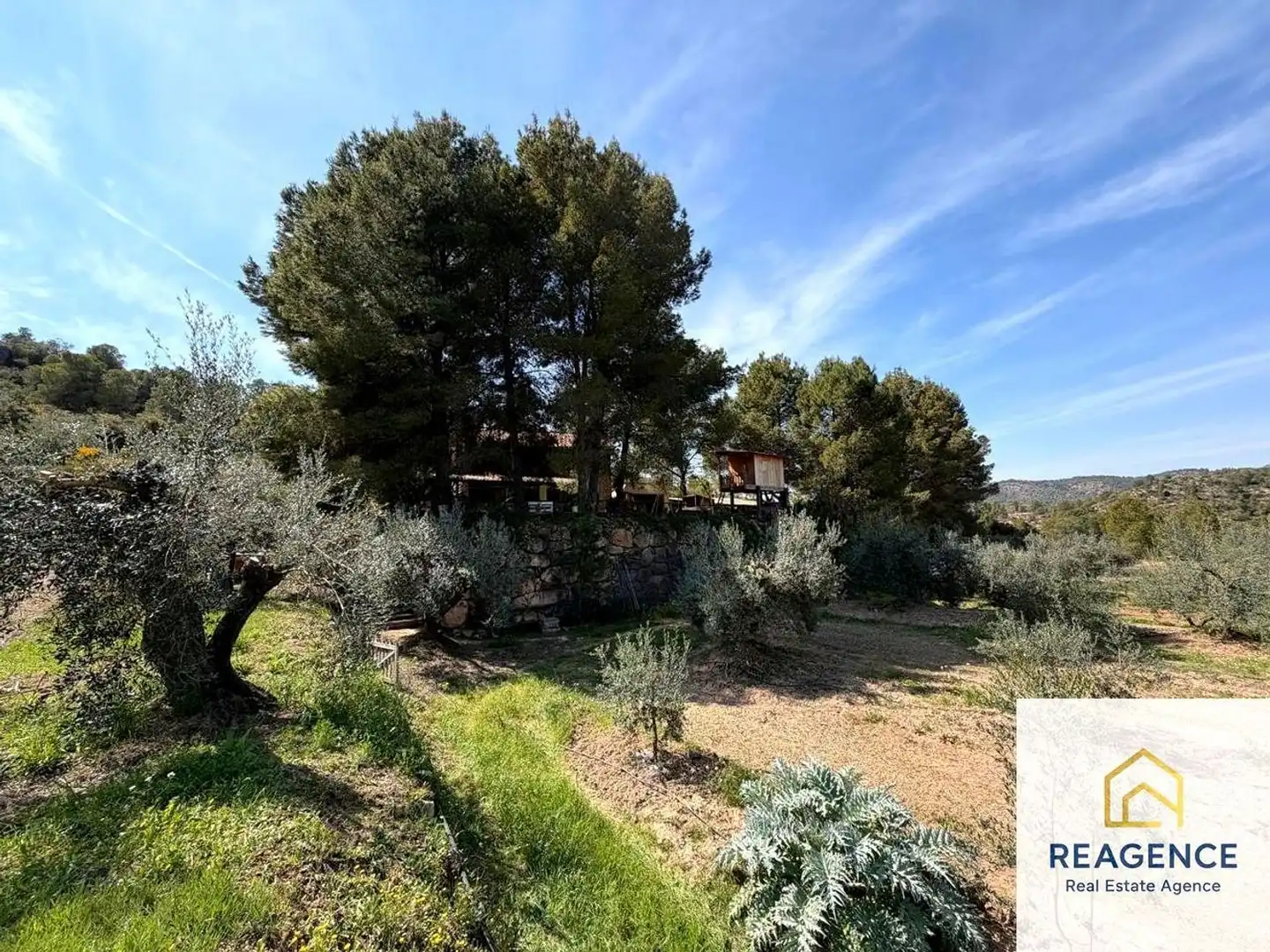 Country homes for sale in Flix, Tarragona
