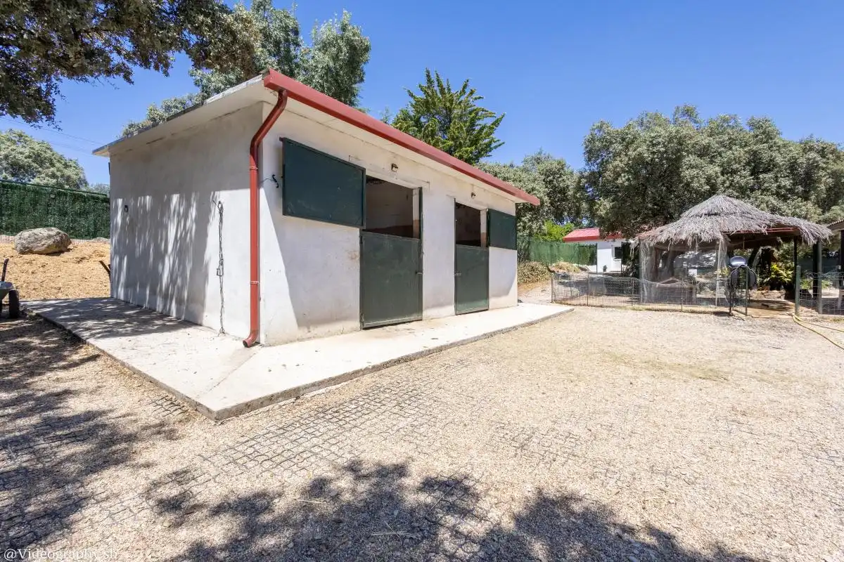 Vista exterior de Casa o chalet en venta en El Escorial con Calefacción y Jardín privado