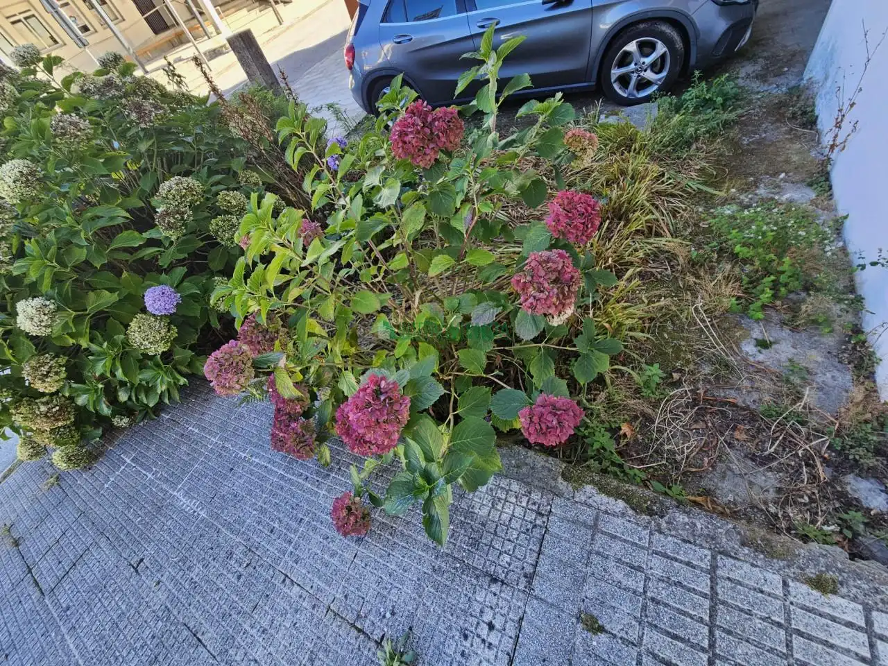 Casa amb terrassa en venda a Covelo, imagen 20