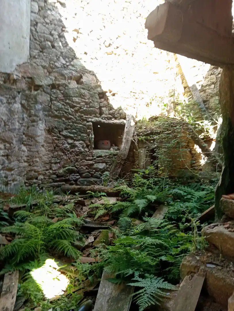 Jardí de Finca rústica en venda en Ponteceso