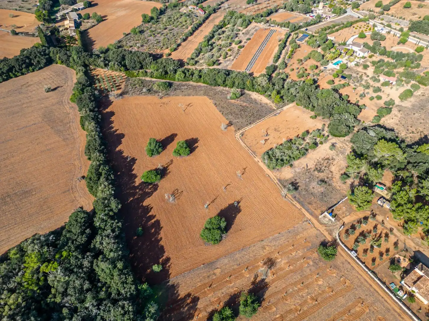 Wohnbaugrundstück zum Verkauf in Felanitx Poble, imagen 4