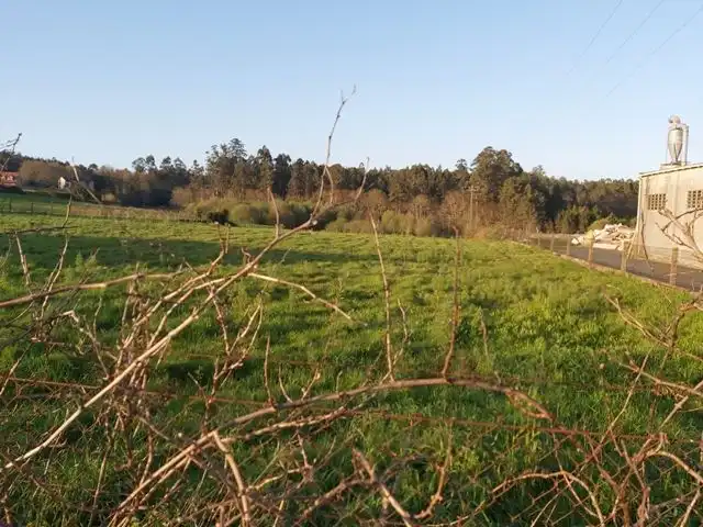 Terreni e lotti in vendita a de Cepeda, imagen 2