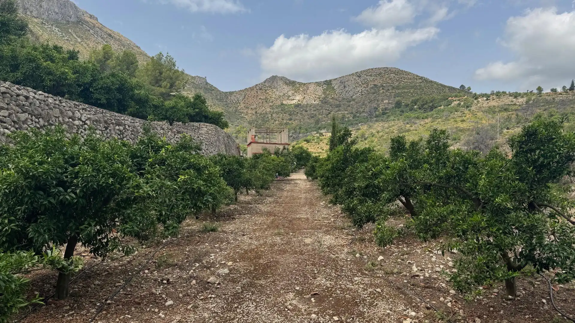 Residencial en venta en L'Atzúbia