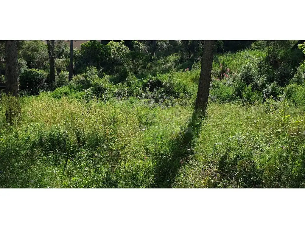 Terrain résidentiel à vendre à Platja de Pals, imagen 6