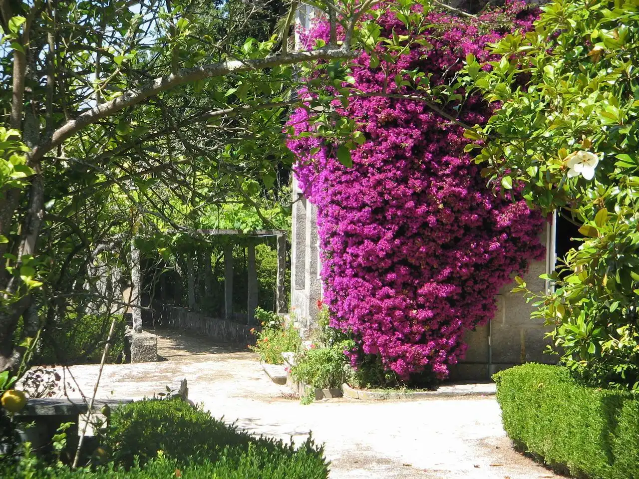 Jardí de Casa o xalet en venda en Vigo  amb Calefacció, Jardí privat i Terrassa