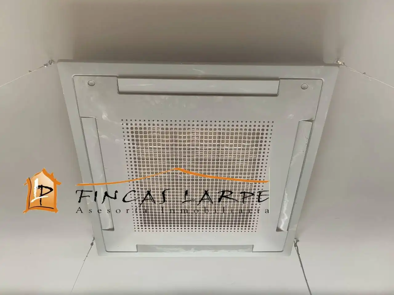 Local comercial en alquiler en Calle PUIG DEL RAVELL, imagen 18
