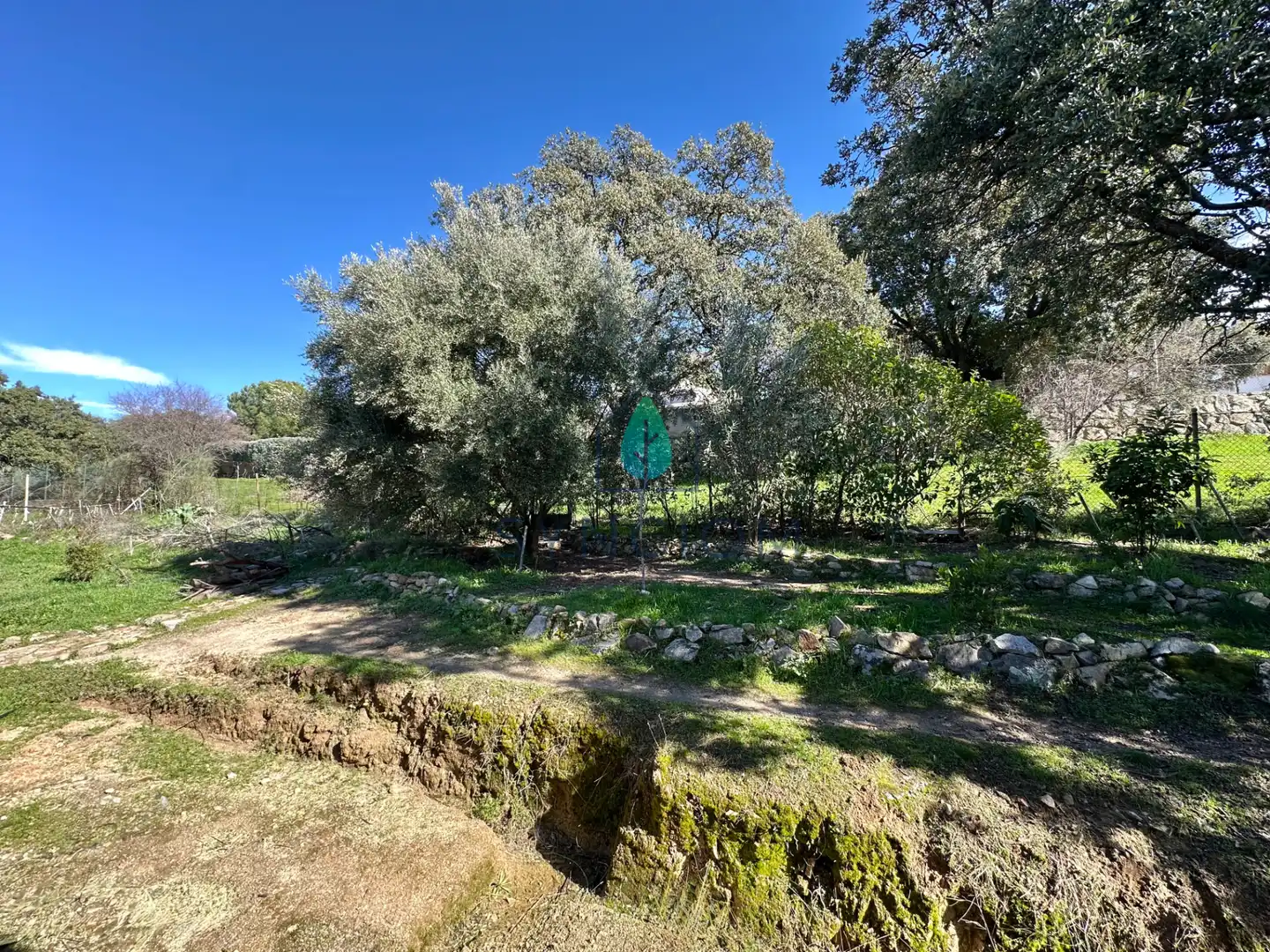 Casa o xalet en venda a Calle Castillo de Guadamur, Cerro Alarcón