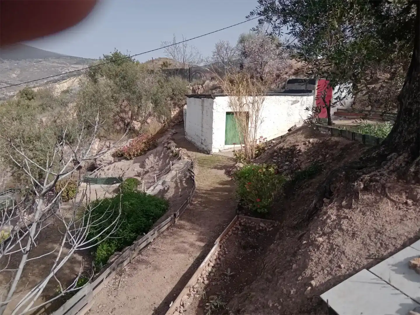 Casa o chalet en venta en Alcolea con Jardín privado, Trastero y Amueblado