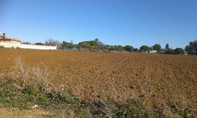 Terreno en Venta en Carretera de Antequera en Campillos