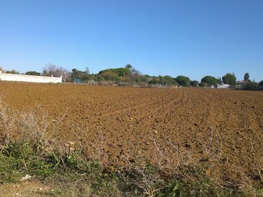 Terreny rústic en venda a Carretera de Antequera