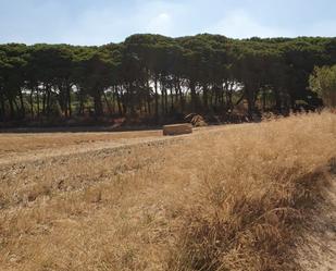 Finca rústica en venda en Chiclana de la Frontera