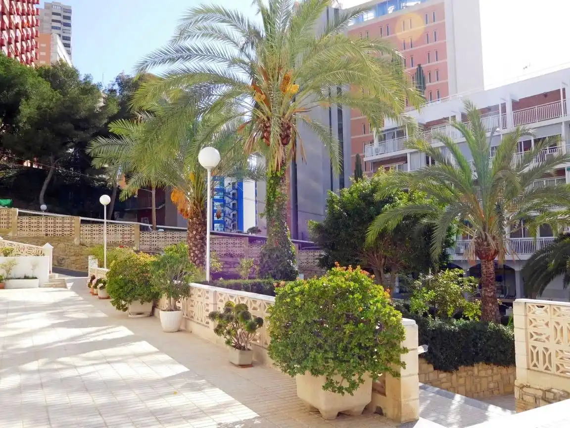 Apartament amb ascensor en venda a Calle ALCALDE MANUEL CATALAN CH, imagen 6