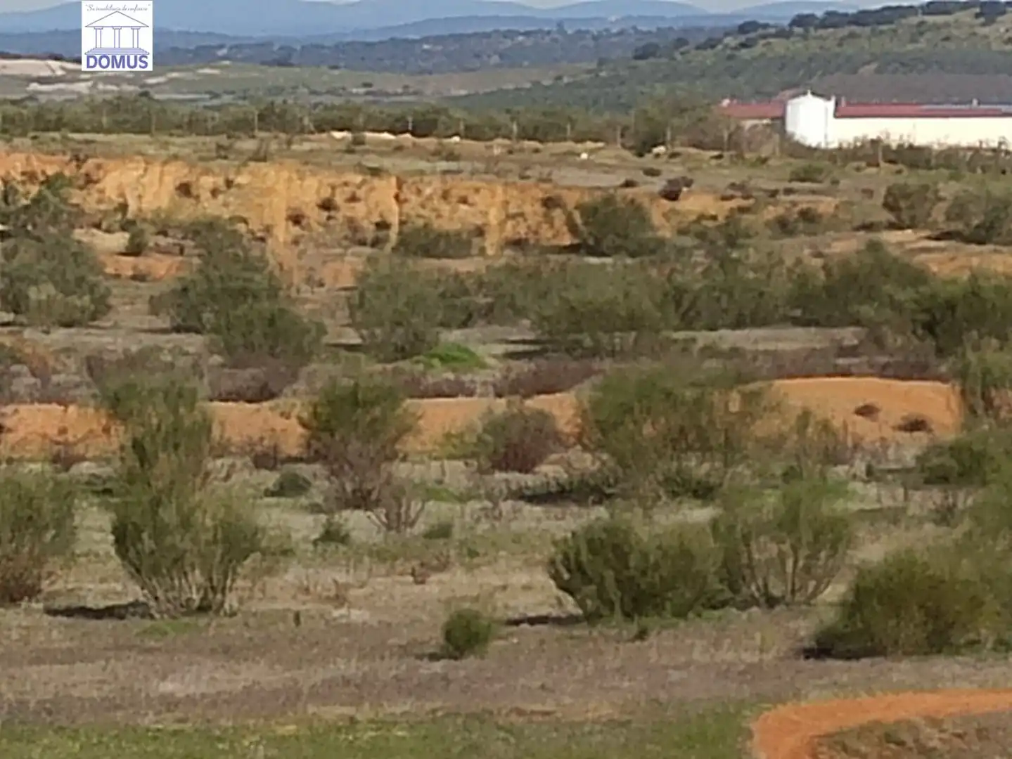 Terreni e lotti in vendita a Oeste, imagen 7
