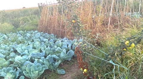 Foto 2 de Terreny en venda a Casetas - Villarrapa, Zaragoza