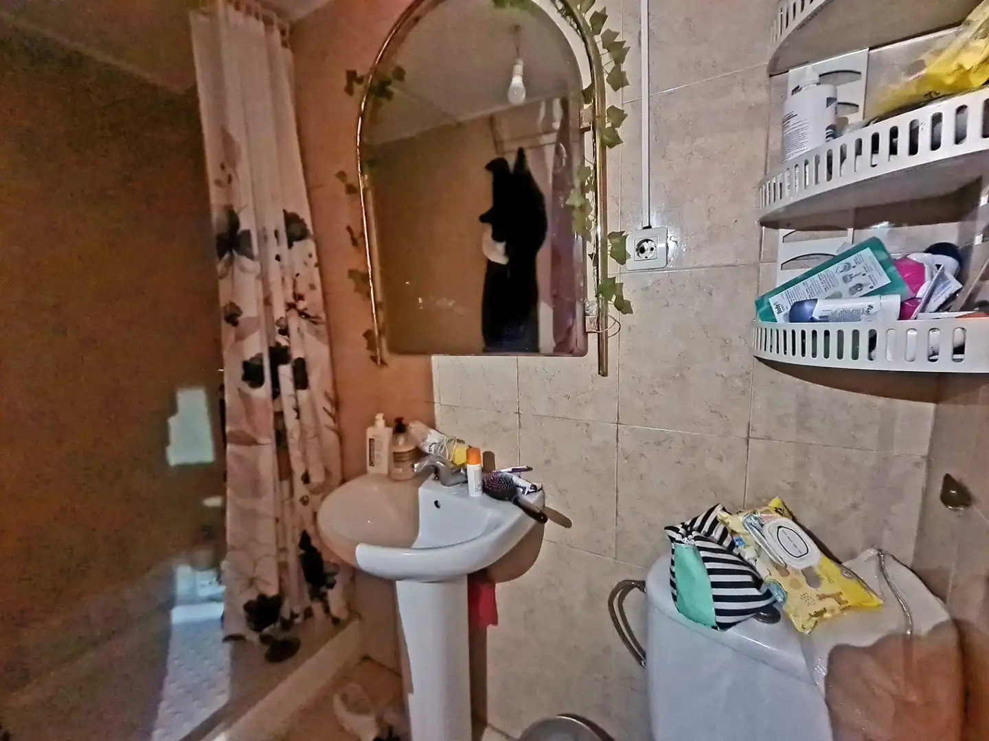 Baño de Casa o chalet en venta en Láchar