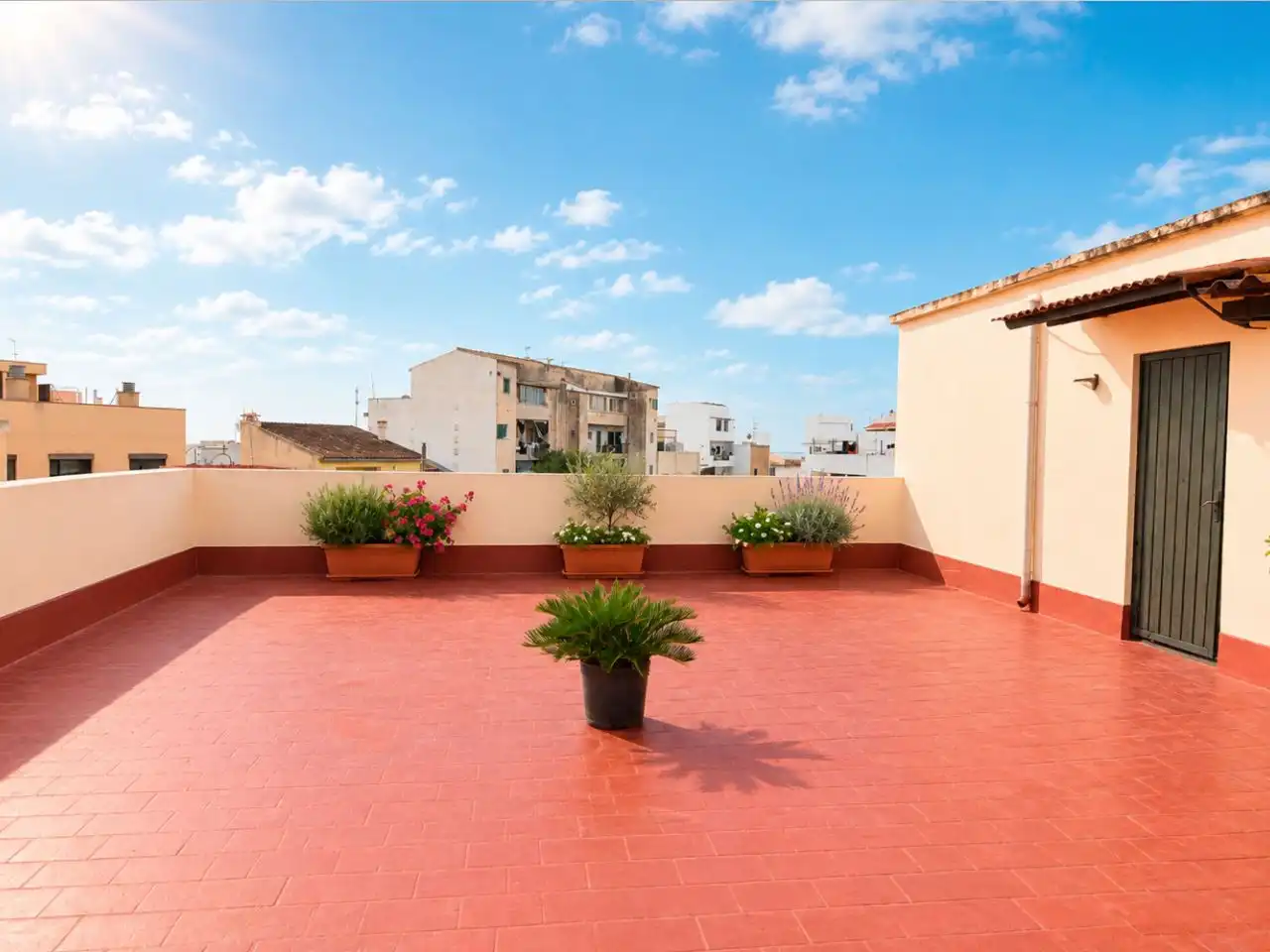 Terraza de Piso en venta en Platja de Palma