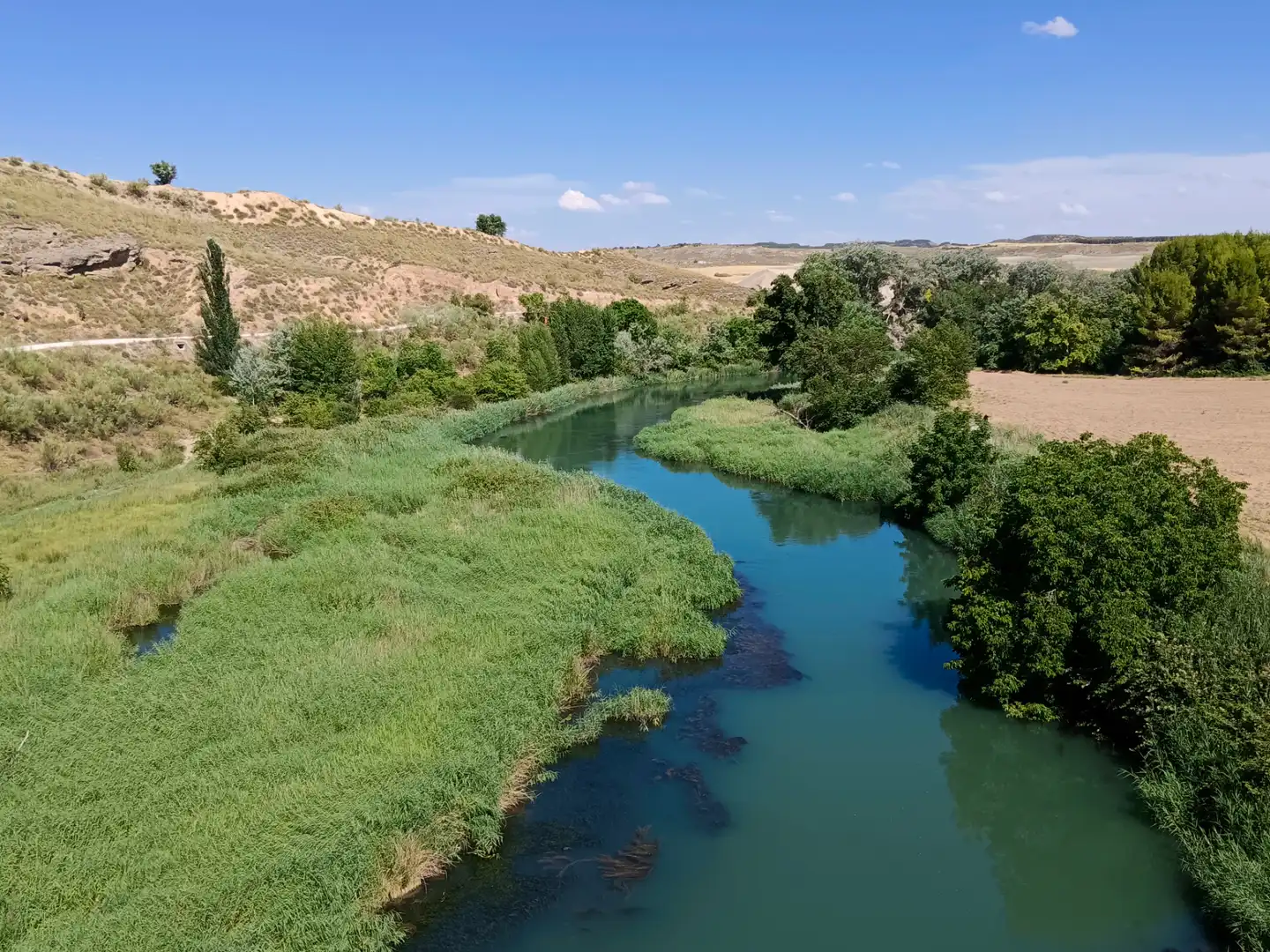 Vista exterior de Casa o xalet en venda en Illana amb Jardí privat, Terrassa i Piscina