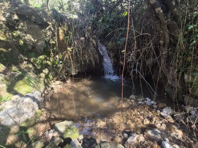 Schwimmbecken von Grundstücke zum Verkauf in Benaocaz