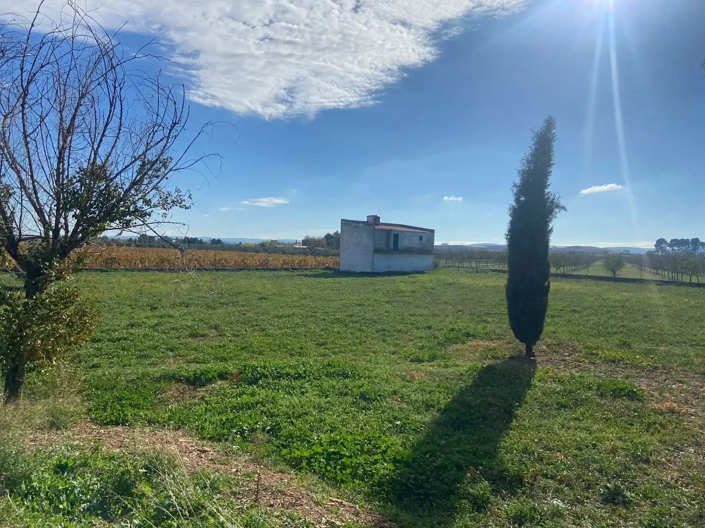 Casa o chalet en venta en Almagro con Aire acondicionado, Calefacción y Jardín privado