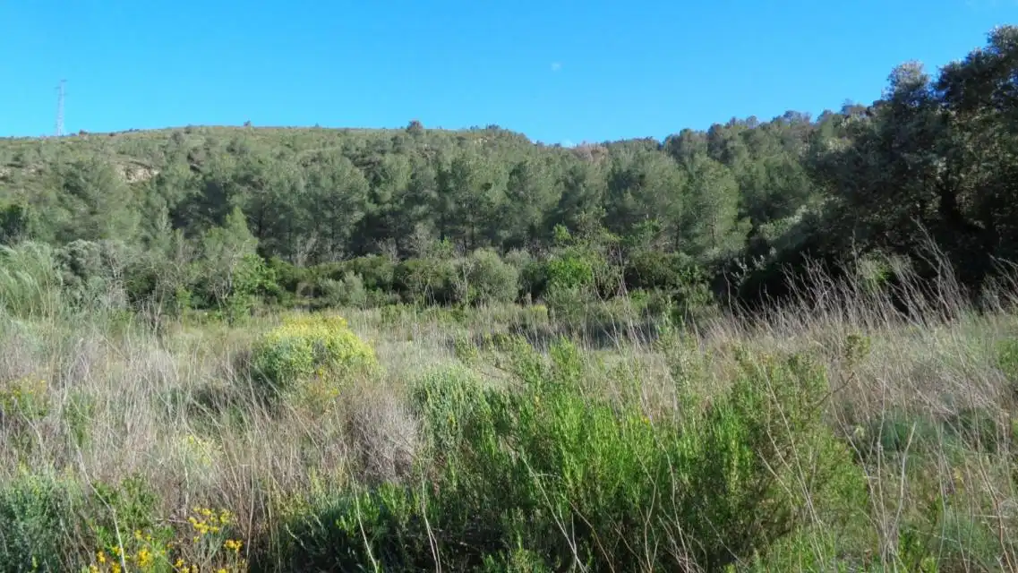 Terreno rustico in vendita a PESOLS, imagen 15