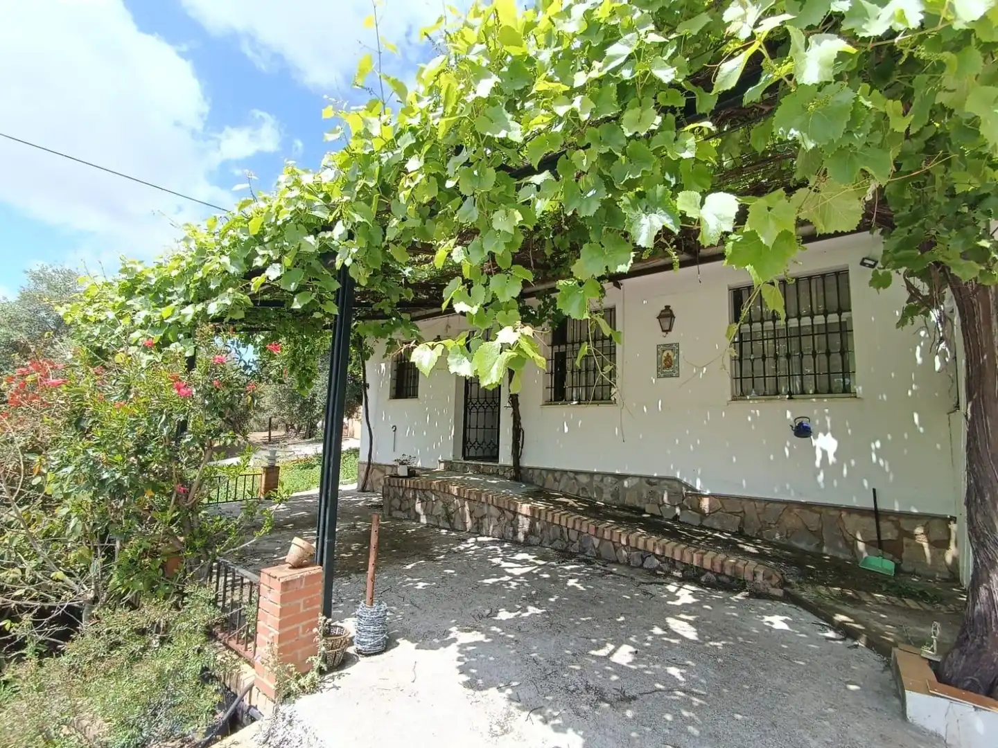Exterior view of Residential for sale in Prado del Rey