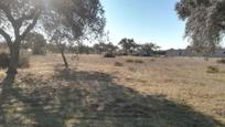 Finca rústica en venda en Badajoz Capital
