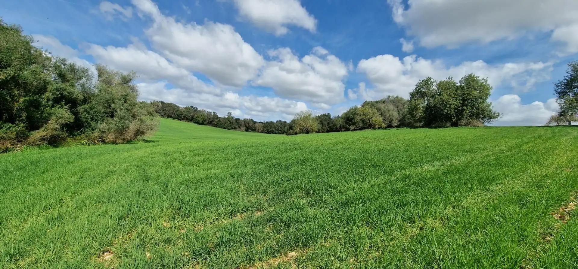 Country homes for sale in Manacor