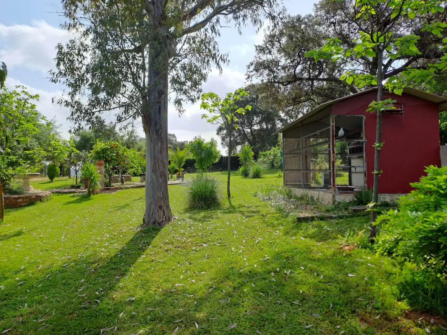 Garden of Country homes for sale in Santa Eufemia  with Furnished