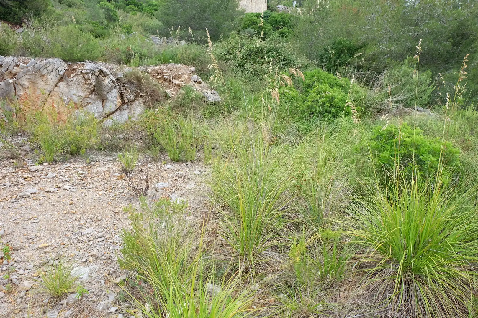 Terreny residencial en venda a del xaloc 8, imagen 8