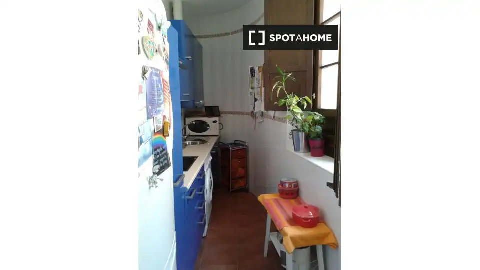 Room in Cádiz, Cádiz