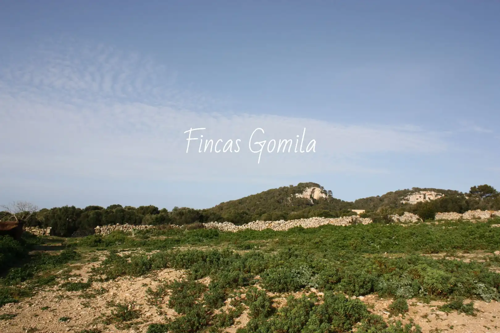 Finca rústica en venta en Alaior