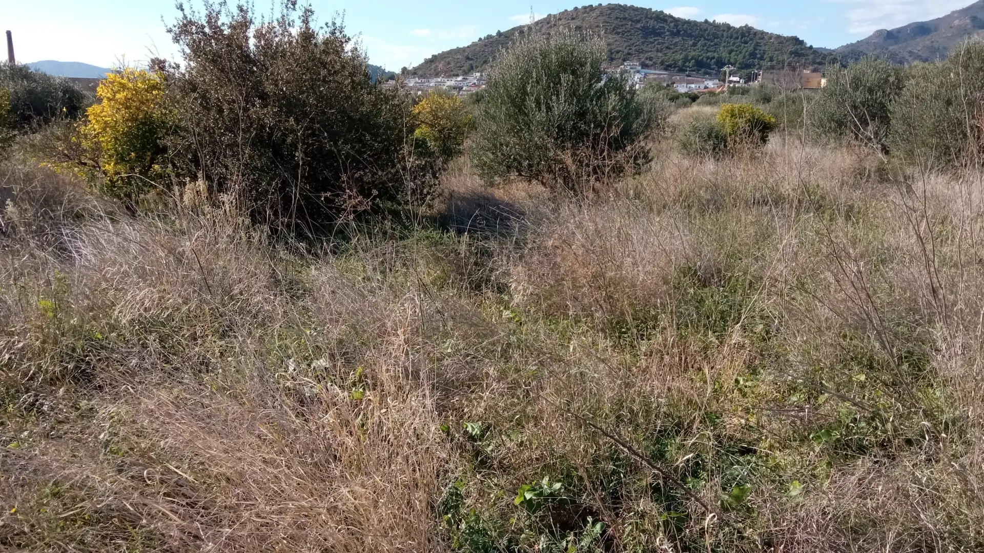 Terreny residencial en venda a Fosaret, imagen 2