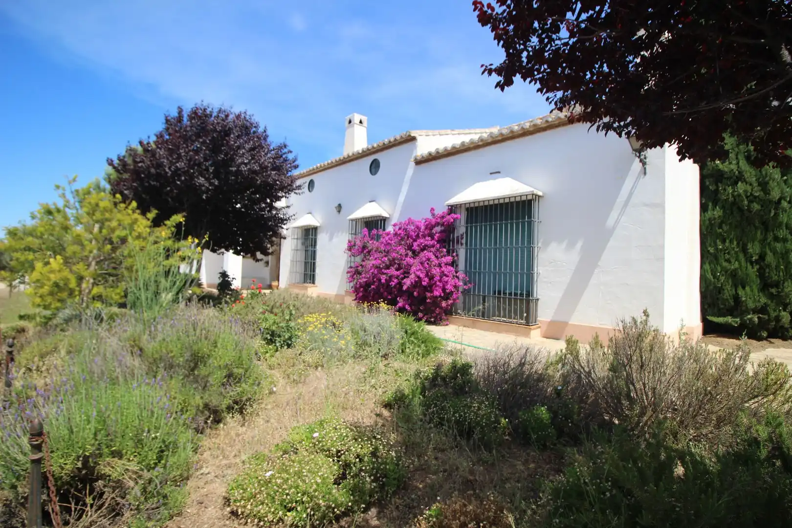 Casa rústica amb jardí en venda a partido romeral, imagen 40