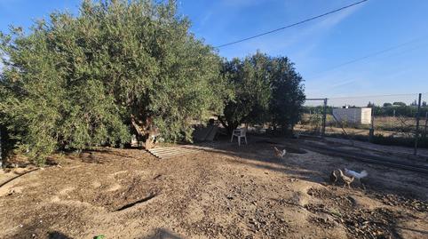 Photo 3 of House or chalet for sale in Avenida del Puntarrón, 188, Sangonera la Seca, Murcia