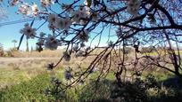 Jardí de Finca rústica en venda en Mojácar amb Jardí privat i Terrassa