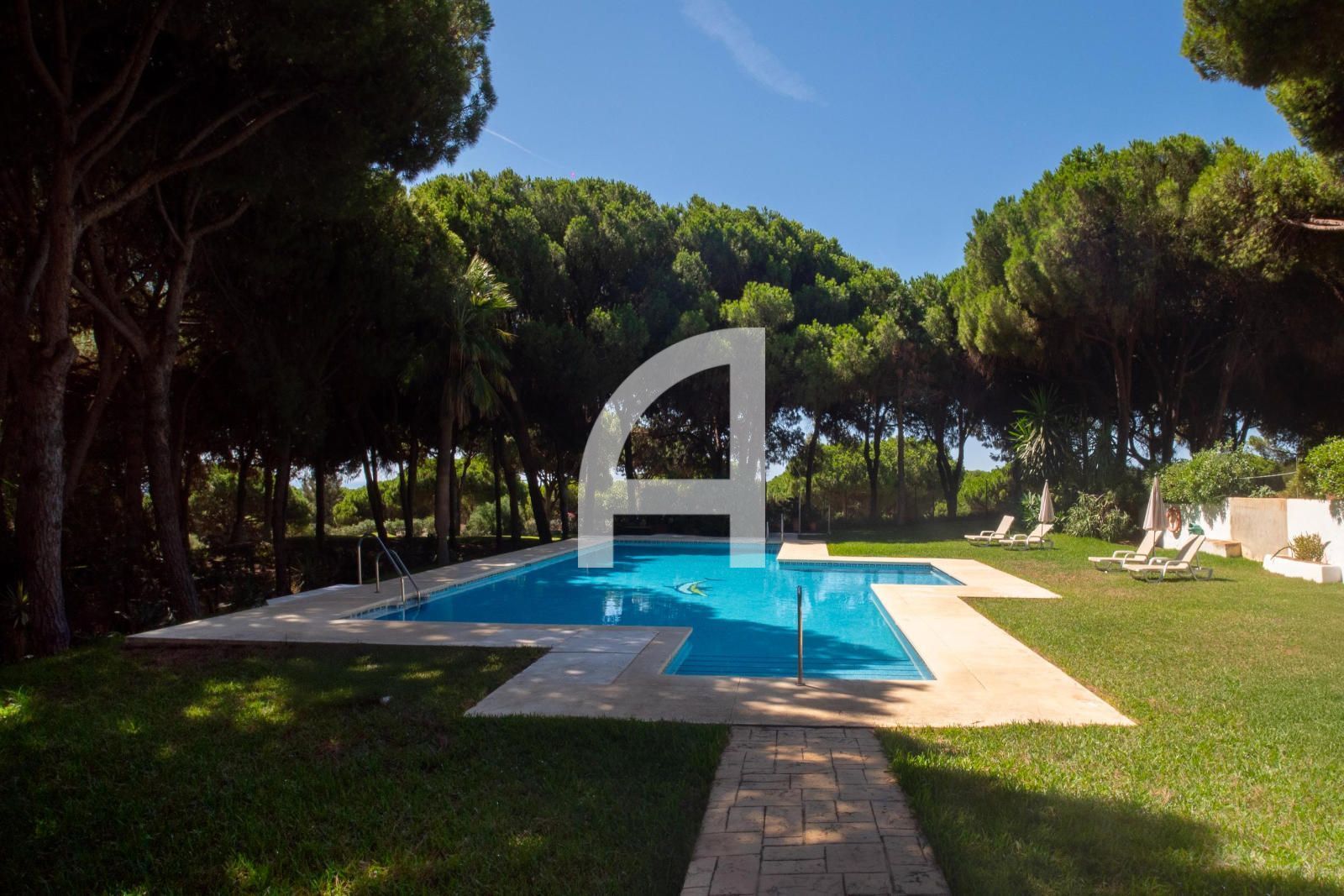 Garden of Single-family semi-detached for sale in Marbella  with Private garden, Terrace and Swimming Pool