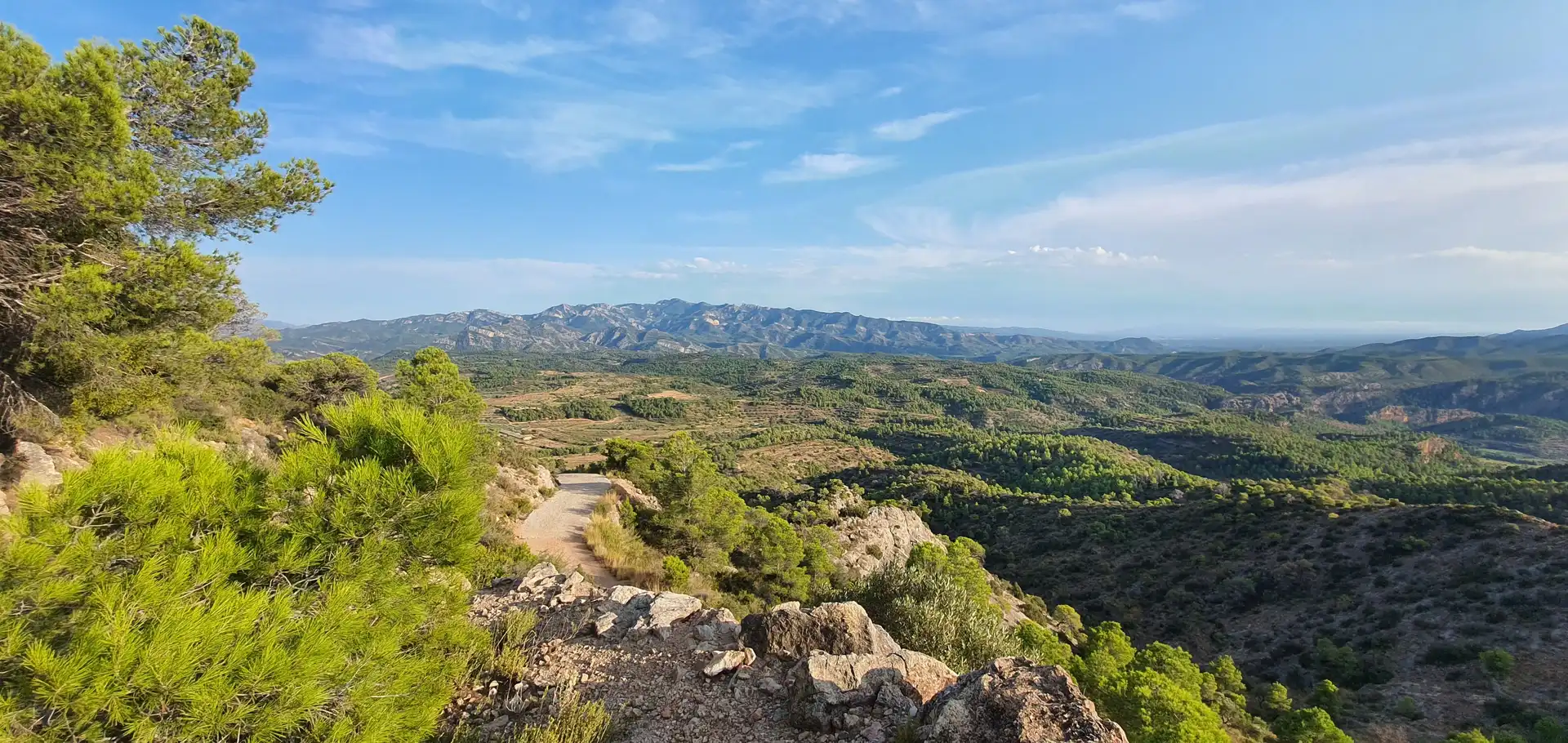 Wohnbaugrundstück zum Verkauf in El Pinell de Brai, imagen 14